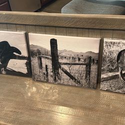 3 Piece Western Canvas Wall Decor