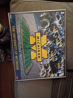 6 different Michigan pic's