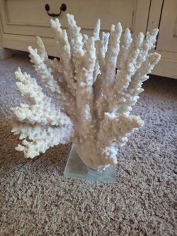 Decorative Coral