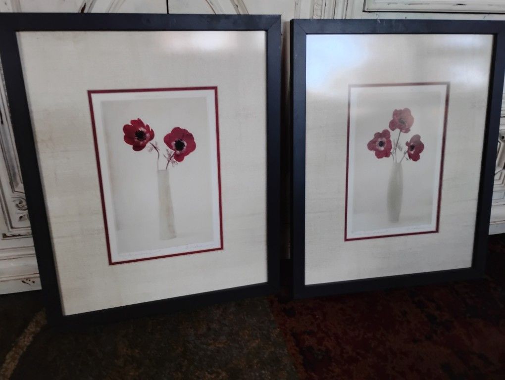 2 Flawless Poppy Flower Pictures