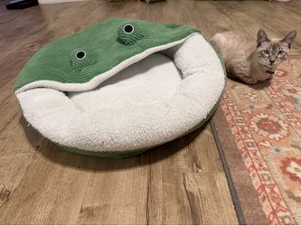 Cat Bed