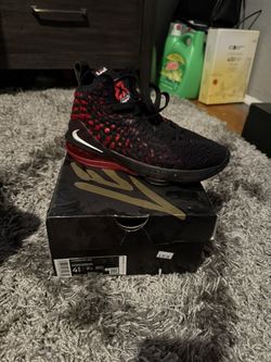 lebron XVII (GS)Â Shoes
