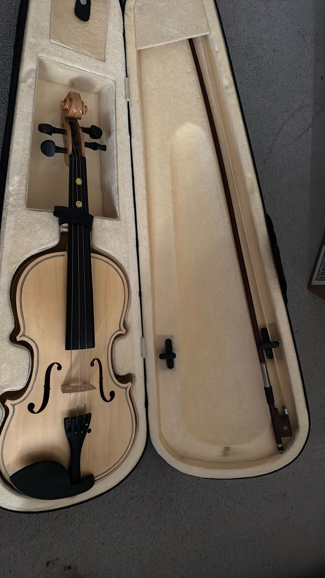 Violin