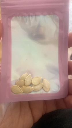 8$ Sugar pumpkin seeds