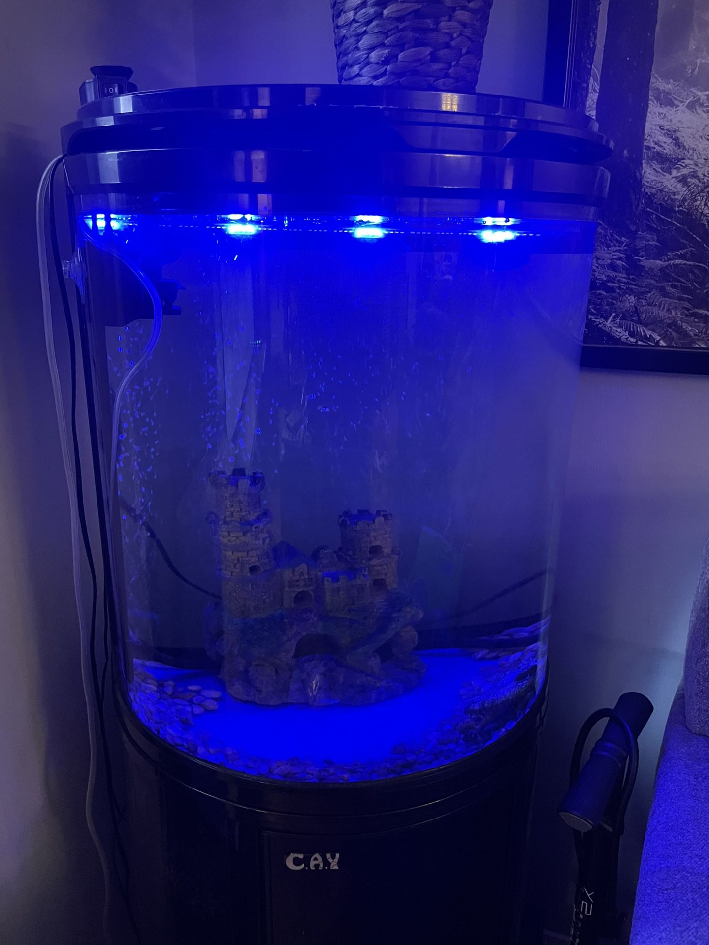 25 Gallon Half Moon Fish Tank ( Aquarium )