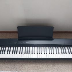 Casio Privia Digital Piano PX-160 BK with Stand