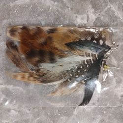 Feather 🪶 earrings 