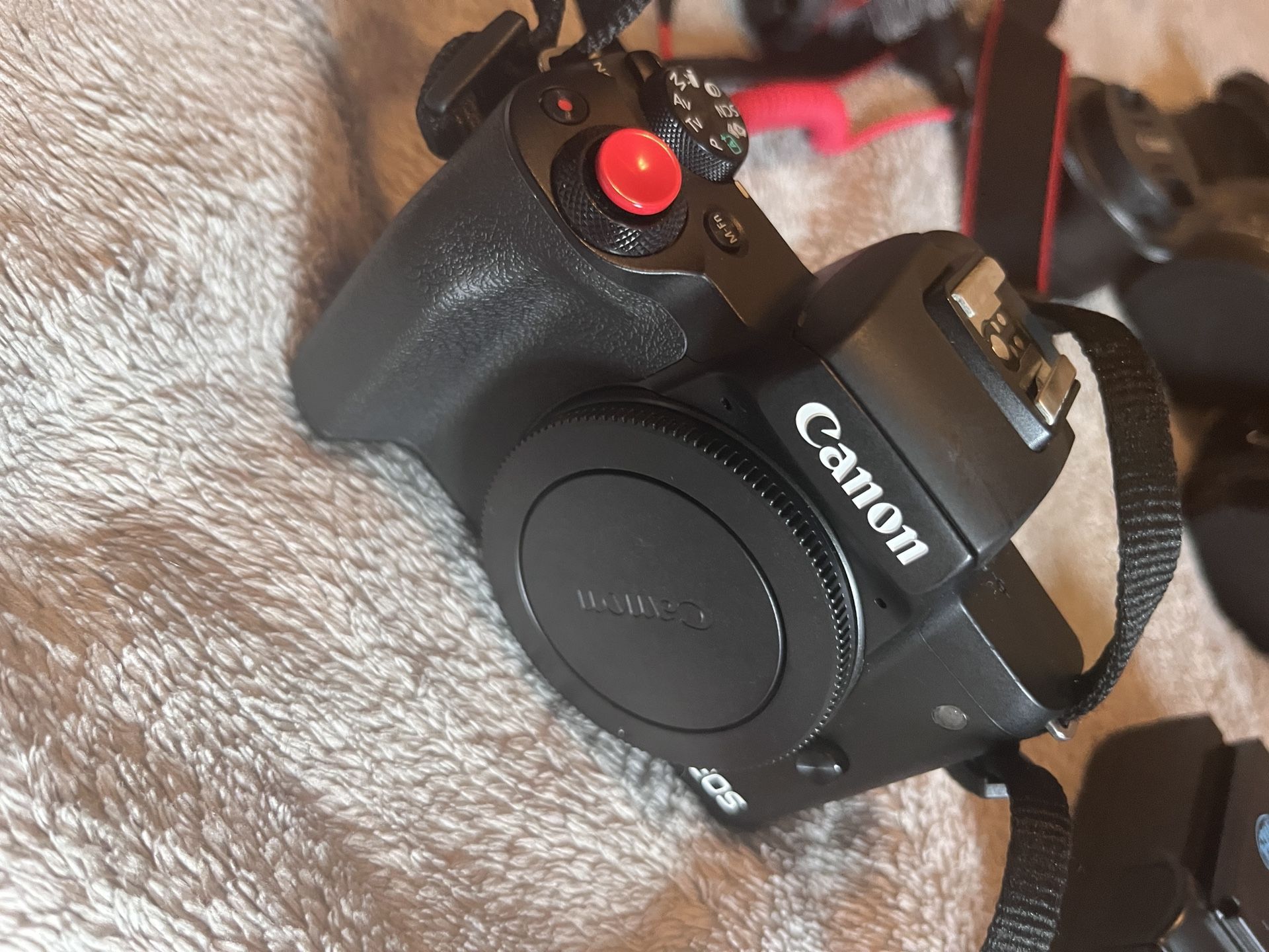 Canon M50
