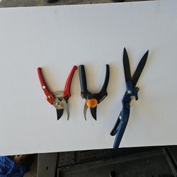 3 - Shears in Chandler 