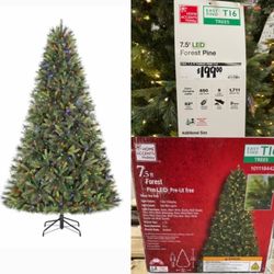 Home Accents Holiday 7.5 ft Forest Pine LED Pre-Lit Tree T16