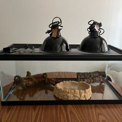 50 Gallon Tank