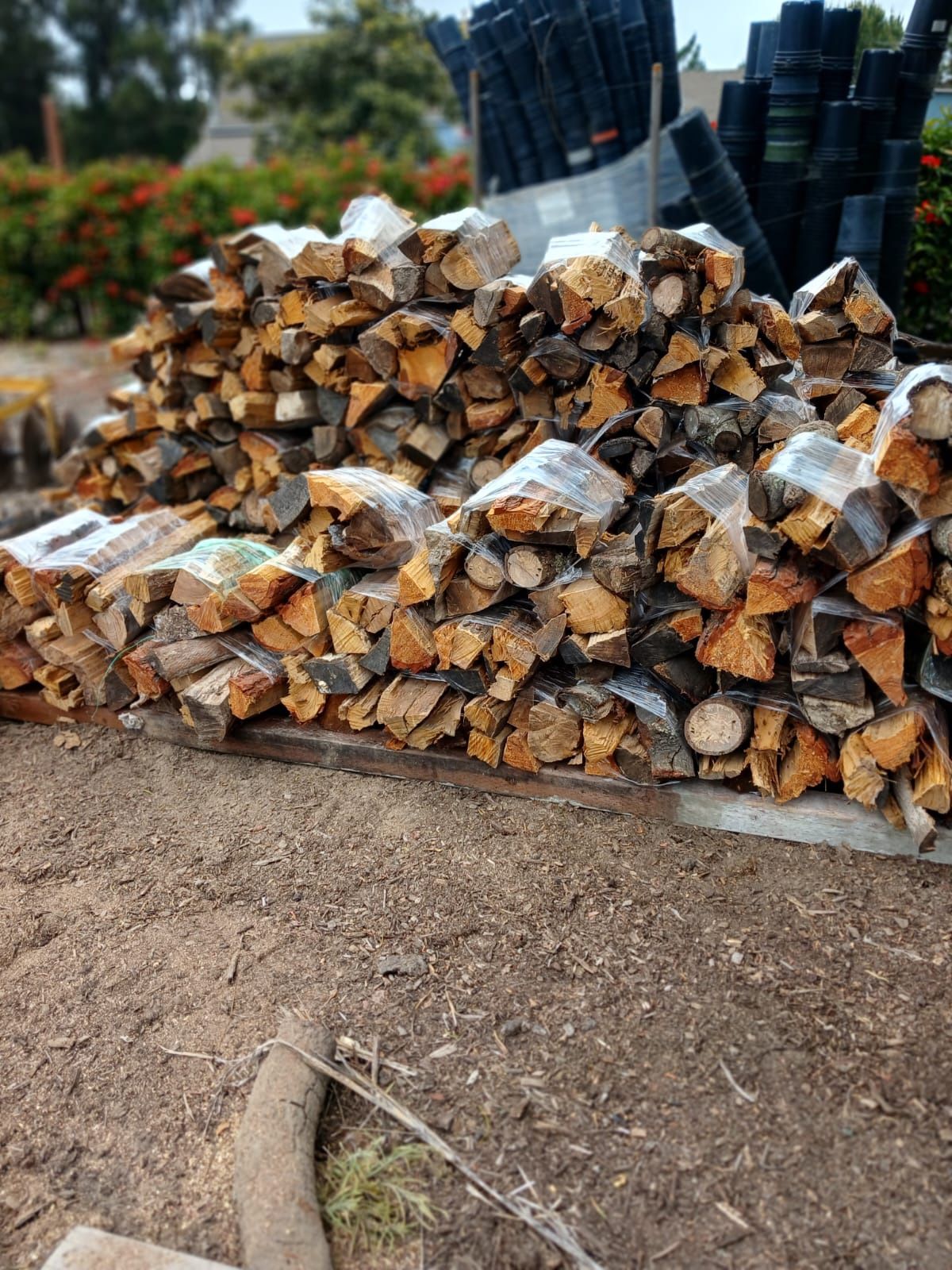 Firewood