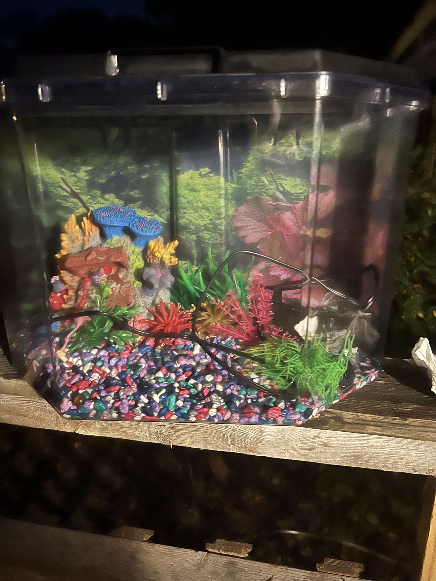 Fish  Tank (10 Gallon I Think ) 