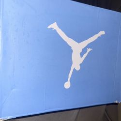 Unc Jordan 6s
