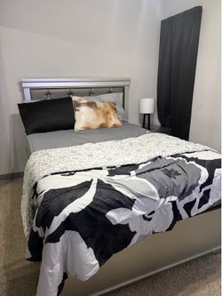 Full-size Bed frame + box spring
