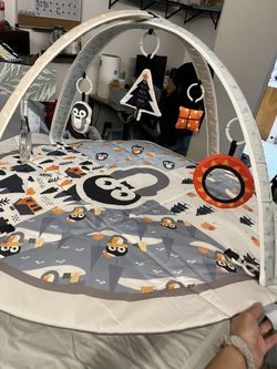 Baby Play Gym