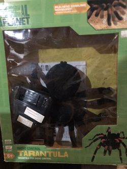 Tarantula remote control
