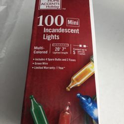 Home Accents 100 Multi-colored Mini Lights Green Wire 20’ 7” Length
