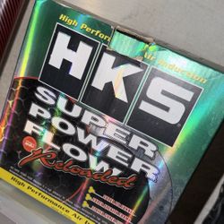 HKS Air Flow Induction 