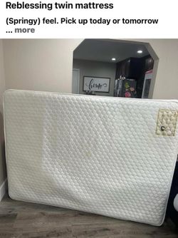 Full size mattress with protector pad