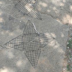 Star Crab Traps