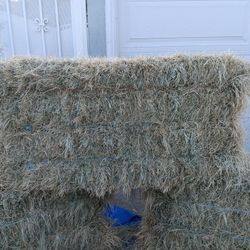 Hay
