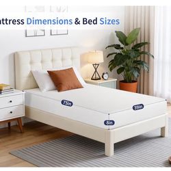 Twin Mattress (2)