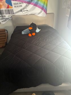 Very comfortable lightly used Tan Queen bed and bed frame
