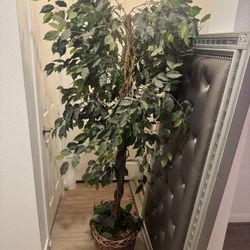 6ft faux plant/tree