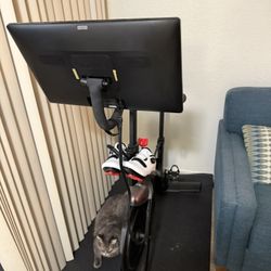 Peleton Exercise Bike