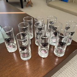 Future Mrs Bridal Shot Glasses 11ct - Brand New