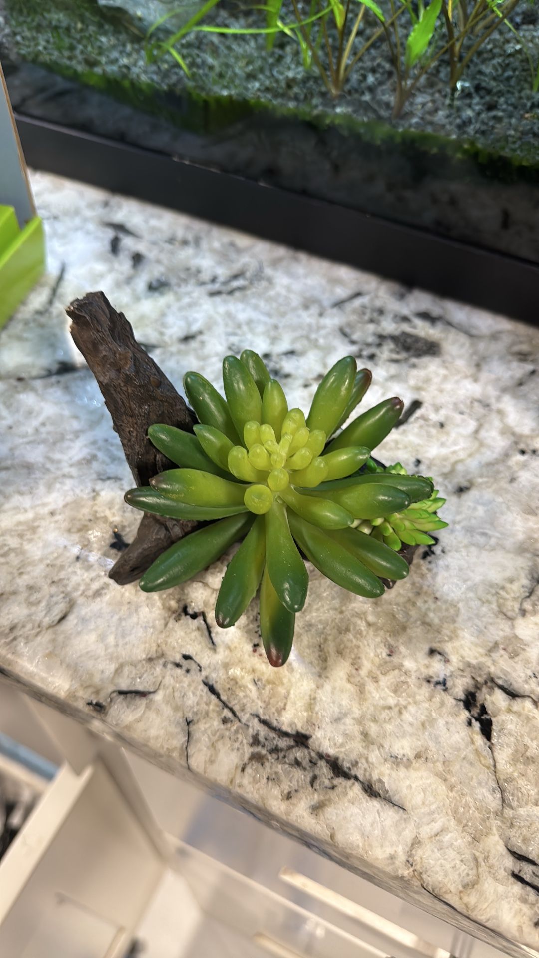 Aquarium decoration, fake plants and wood