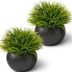 Seeko  succulent  artificial  plant 