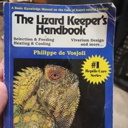 Full setup for lizard like bearded dragon