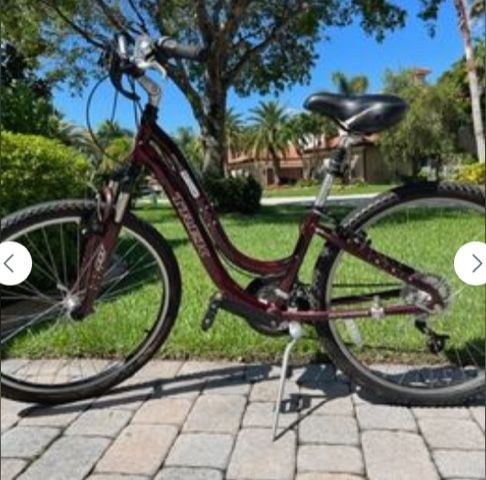Trek Navigator 2.0 Women’s Bike, Maroon