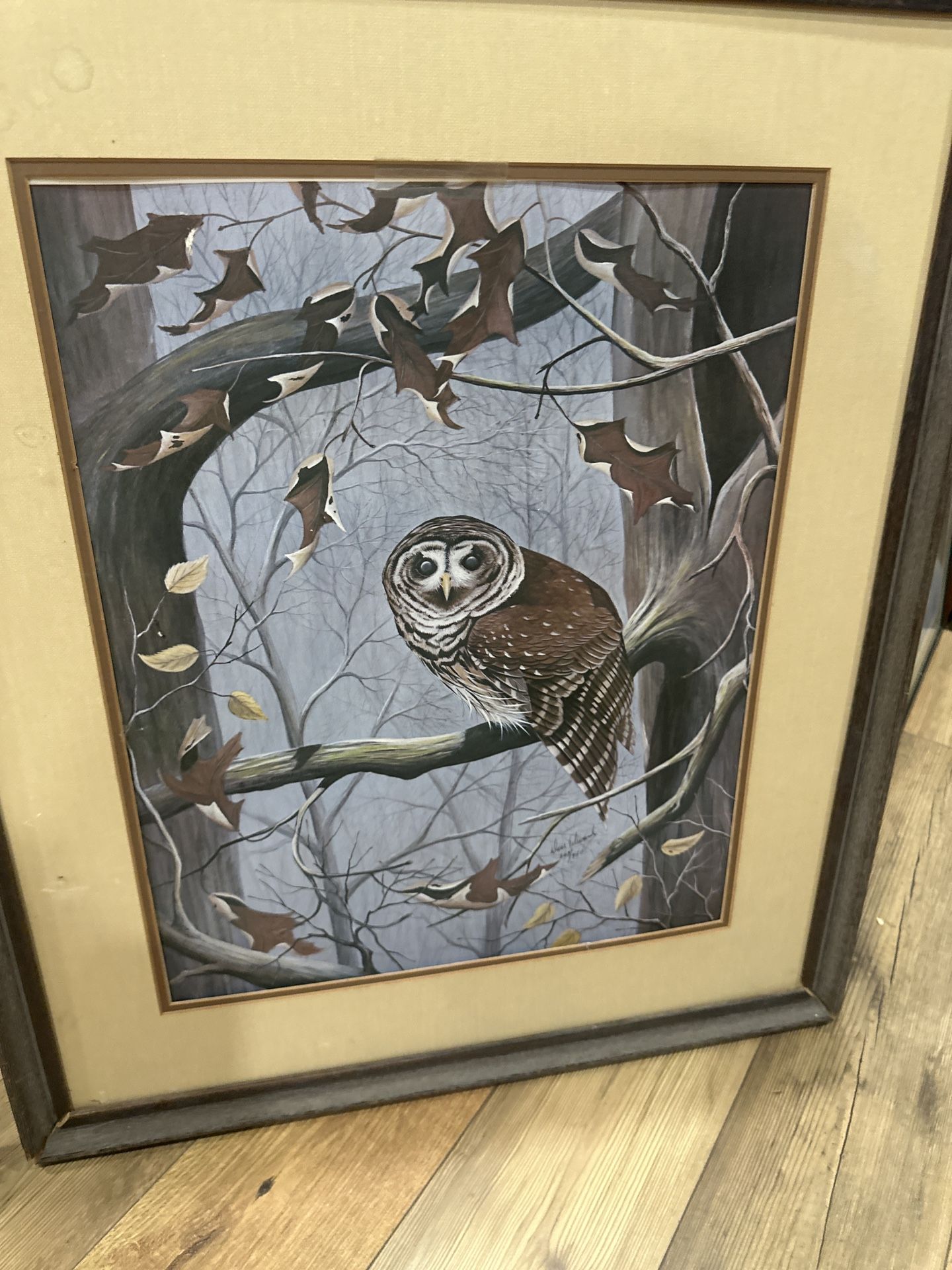 Don Edwards Collection