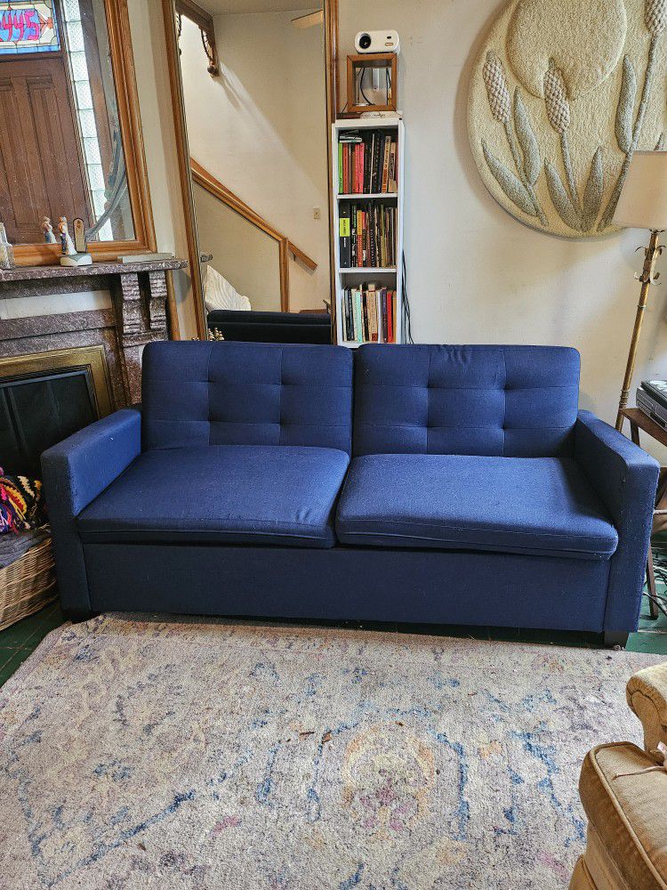 Sleeper Sofa/ Pull Out Couch