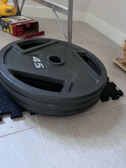 3- 45lb weight plates