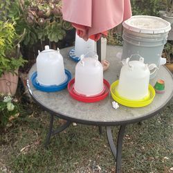 Comedero Y Bebederos Para Gallinas