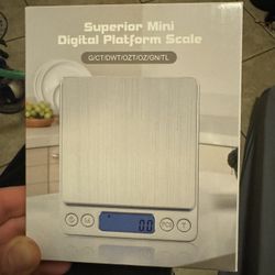 Mini Digital Scale