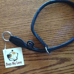 Leather Slip Dog Collar 