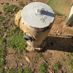 Fire Hydrant
