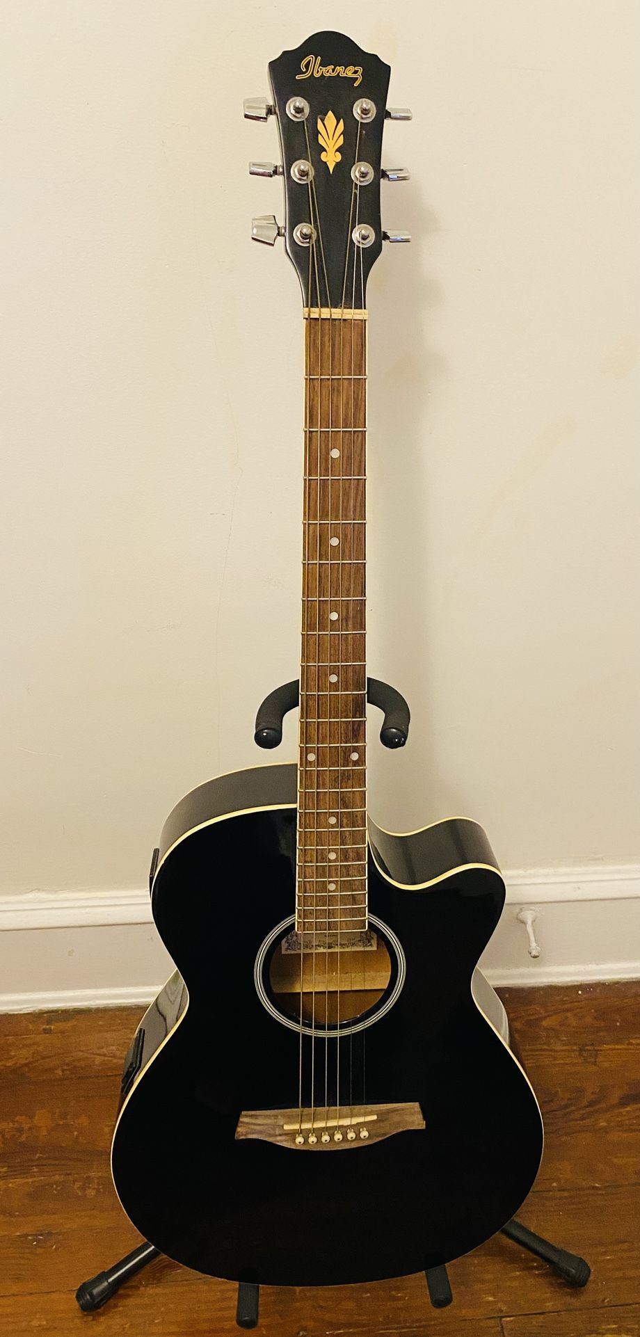 Ibanez Acoustic/Electric Guitar