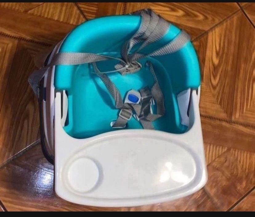 Ingenuity Booster seat