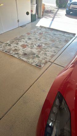5 x 7 Area Rug