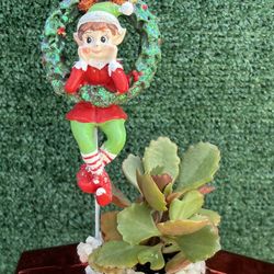 Succulent With An Elf In A Star Pot