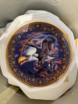 Eagle plates 🇺🇸