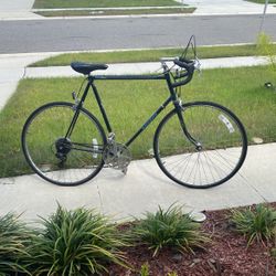 10 Speed Bicycle