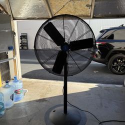 Large Pedestal Fan 