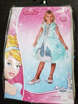 Princess Cinderella costume